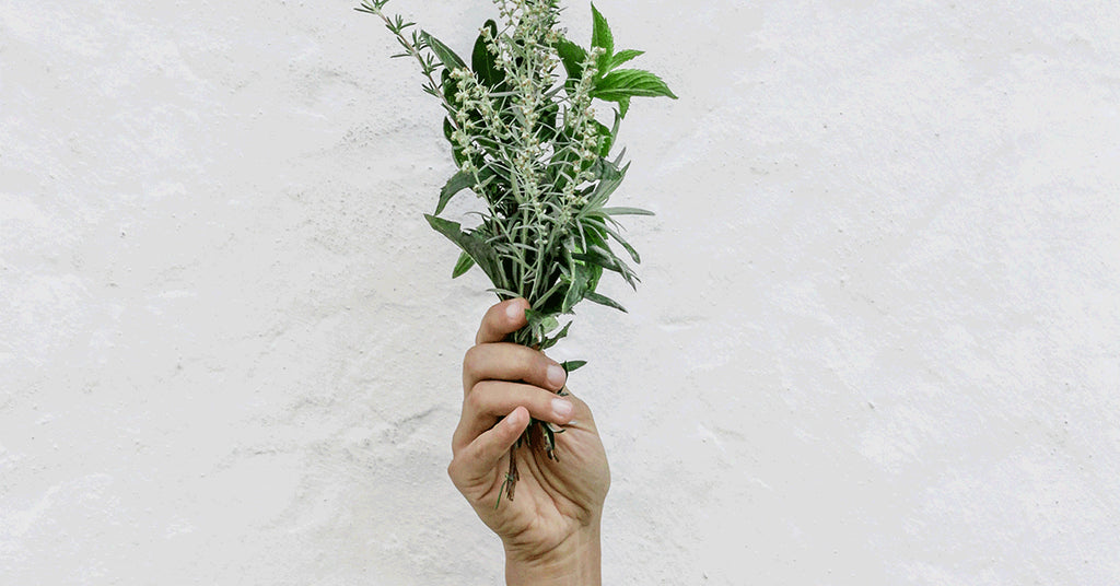 AROMATHERAPY FOR BEGINNERS